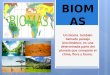 P.s biomas