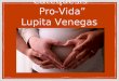 Lupita Venegas - Catequesis Provida
