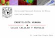 Embriología, ciclo celular y mitosis