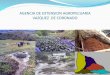 Informe  Agencia de Extensión Agropecuaria de Coronado