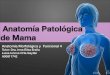 Patología de mama