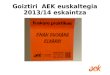 Goiztiri AEK 2013/ 14 eskaintza