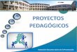 Proyectos pedagogicos