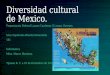 Diversidad Cultural de Mexico