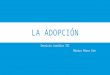 La adopción privilegiada en República Dominicana