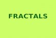 Treball Fractals Simplificat 2