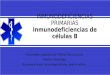 Inmunodeficiencias primarias: Inmunodeficiencia de células B