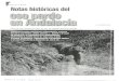 Notas históricas sobre el oso pardo en Andalucía