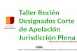 ENJ-100 Taller Recién Designado Corte Jurisdicción Plena