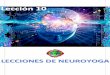 Neuroyoga  - Lección 10 - Introducción a la programación neurolinguistica (pnl)