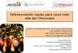 S4.p1.2 Diferenciando cacao para usos más allá del chocolate