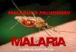  Malaria o-paludismo ooooo