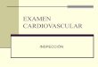 Examen cardiovascular (1)