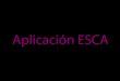 Aplicacion - Informe ESCA - Traductor.pdf