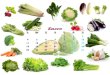 Calendario verdura