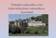 Tema 4.paisajes naturales y las interrelaciones naturaleza sociedad