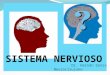 Neurociencias y aprendizajes