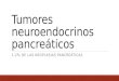Tumores neuroendocrinos pancreáticos