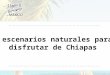 3 escenarios naturales para disfrutar de Chiapas