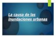La causa de las inundaciones urbanas - Micaela Larrea