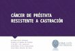 Cancer de Próstata Resistente a Castración