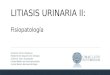 Litiasis urinaria fisiopatología