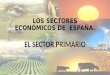 Los sectores economicos de  España