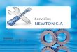 Servicios Newton