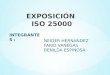 Iso-- 25000