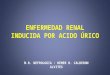 Enfermedad renal inducida por acido úrico