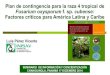 Plan de contingencia para la raza 4 tropical de Fusarium oxysporum f. sp cubense: Factores criticos para America Latina y Caribe