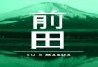 Luis Maeda - CV & Portafolio