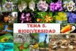 Tema 5 biodiversidad