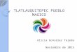 Tlatlauquitepec Pueblo Magico