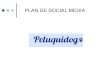Plan social media peluquidog