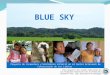 Proyecto blue sky2