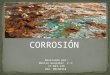 Presentación de corrosion 1 marlin