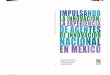 Impulsando la innovación: La experiencia de agentes de innovación nacional en México