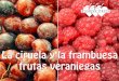 Frambuesa y ciruela, frutas de verano
