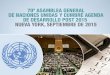EC 440: Asamblea General de la ONU en Nueva York