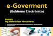 Gobierno Electronico (e-Goverment)