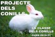 Projecte dels conills