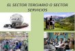 El sector terciario o sector servicios