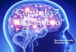 Neuroanatomía Snell Cap 7 "El Cerebro"