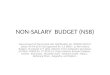Non salary  budget (nsb)
