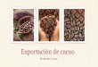 Exportación de cacao