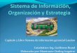 Sistema de informacion, organización y estrategia   cap 3