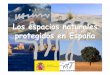 Los espacios naturales protegidos en España