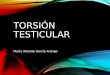Torsión testicular