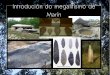 Introducción ao megalitismo de Marín